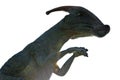 Dinosaur Parasaurolophus on a white background. Isolate Royalty Free Stock Photo