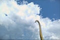 Dinosaur park in Leba, Poland. Life size dinosaur models Royalty Free Stock Photo