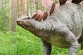 Dinosaur Park, dinosaur model Stegosaurus Royalty Free Stock Photo
