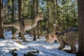 Dinosaur Park in Szklarska Poreba