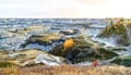 Dinosaur Provincial Park Royalty Free Stock Photo