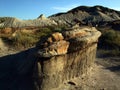 Dinosaur Provincial Park Hoodoo