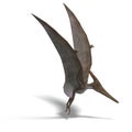 Dinosaur Pteranodon Royalty Free Stock Photo