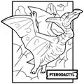 Dinosaur pterodactyl, coloring book, funny illustration Royalty Free Stock Photo