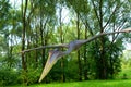 Dinosaur Pterodactyl, Pterodactyloid, Pterosaur, Quetzalcoatlus northropi in jurassic park