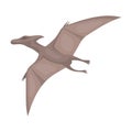 Dinosaur Pterodactyloidea icon in cartoon style isolated on white background. Dinosaurs and prehistoric symbol stock