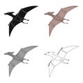 Dinosaur Pterodactyloidea icon in cartoon style isolated on white background. Dinosaurs and prehistoric symbol stock Royalty Free Stock Photo