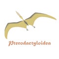 Dinosaur, Pterodactyloidea