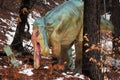 Dinosaur at Rasnov Dino Parc