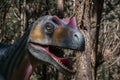 Dinosaur replica head at Dino Park, in Portugal, in real size