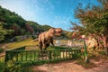 Dinosaur replica at the park. Large dinosaur statue at the amusement park with cloudy blue sky