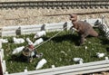 Dinosaur is roped by a cowboy