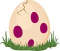 Dinosaur's egg Royalty Free Stock Photo