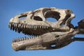 Dinosaur's head skull and blue sky, Ischigualasto