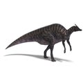 Dinosaur Saurolophus Royalty Free Stock Photo