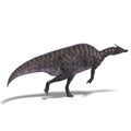 Dinosaur Saurolophus