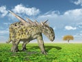 Dinosaur Sauropelta Royalty Free Stock Photo