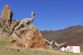 Dinosaur sculpture in an abandoned tourist complex