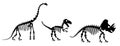 Dinosaur silhouettes set. Silhouette of dinosaur skeletons, dinosaur bones. Diplodocus, Tyrannosaurus rex, Triceratops Royalty Free Stock Photo