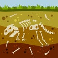 Dinosaur skeleton. Bones of a prehistoric lizard. Flat cartoon landscape.