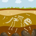 Dinosaur skeleton. Bones of a prehistoric lizard. Flat cartoon landscape