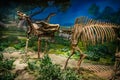 Dinosaur skeleton in dramatic light in the museum of the Natural History, China