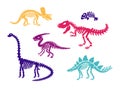 Dinosaur skeleton fossils set diplodocus, triceratops, t-rex, stegosaurus, parasaurolophus, fish Royalty Free Stock Photo