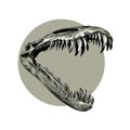 Dinosaur skeleton jaw sketch vector Royalty Free Stock Photo