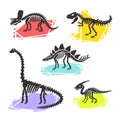 Dinosaur skeleton set diplodocus, triceratops, t-rex, stegosaurus, parasaurolophus. Royalty Free Stock Photo