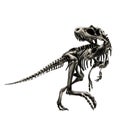 Dinosaur skeleton Tyrannosaurus