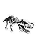 Dinosaur skeleton Tyrannosaurus