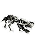 Dinosaur skeleton Tyrannosaurus