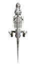 Dinosaur skeleton. View from above. 3D. Vector illustration Royalty Free Stock Photo