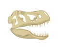 Dinosaur skull icon isolated on a white background, Tyrannosaurus Rex head fossil. Ancient remains of dino skeleton