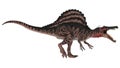 Dinosaur Spinosaurus Royalty Free Stock Photo