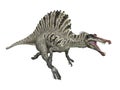 Dinosaur Spinosaurus Royalty Free Stock Photo