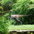 A Dinosaur Statue in Zilker Botanical Garden in Austin Texas