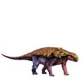 Dinosaur stegosaurus Armadillo sketch vector graphics