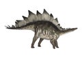 Dinosaur Stegosaurus