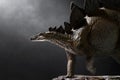 Dinosaur, Stegosaurus on dark backgrounds