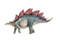 Dinosaur , Stegosaurus isolated background Royalty Free Stock Photo