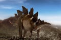 Dinosaur, Stegosaurus on top of mountain