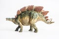 Dinosaur , Stegosaurus on white background Royalty Free Stock Photo