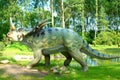 Dinosaur Styracosaur, Styracosaurus albertensis in jurassic park Royalty Free Stock Photo