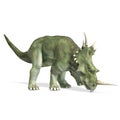 Dinosaur Styracosaurus Royalty Free Stock Photo