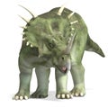 Dinosaur Styracosaurus Royalty Free Stock Photo