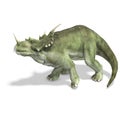 Dinosaur Styracosaurus Royalty Free Stock Photo