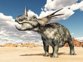 Dinosaur Styracosaurus Royalty Free Stock Photo