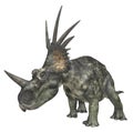 Dinosaur Styracosaurus isolated on white background Royalty Free Stock Photo