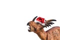 Dinosaur , Styracosaurus on white background Royalty Free Stock Photo